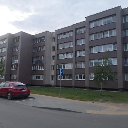 Kristinos Apartment 드루스키닝카이 외부 사진