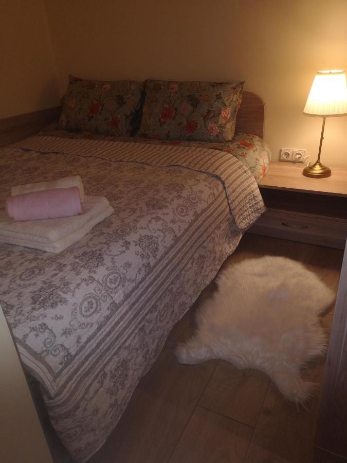 Kristinos Apartment 드루스키닝카이 외부 사진